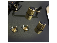 Schecter C-1 FR-S 50th Anniversary Schecter C-1 FR-S 50th Anniversary